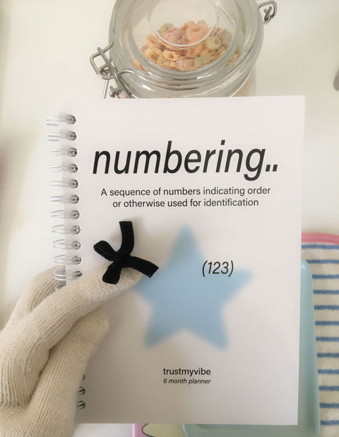 Numbering Weekly Planner _ 6 month