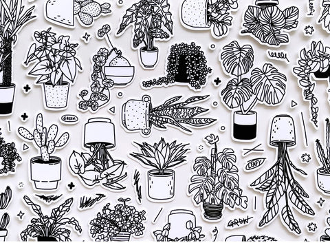 Flowerpot Line Seal Sticker | Deco Sticker