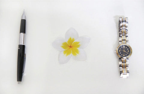 Plumeria Sticky Notes | Flower