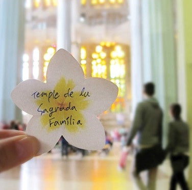 Plumeria Sticky Notes | Flower