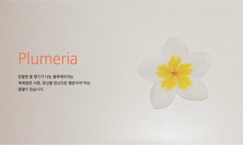 Plumeria Sticky Notes | Flower