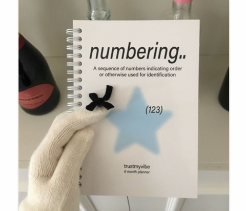 Numbering Weekly Planner _ 6 month
