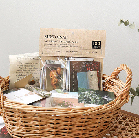Mind Snap Sticker Pack | 100 sheets