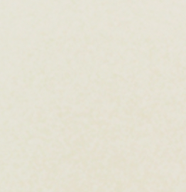 2025 PRISM B6 Weekly Diary