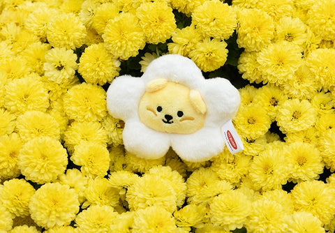 Jelly Bear Key Ring _ 01 Baby Mango