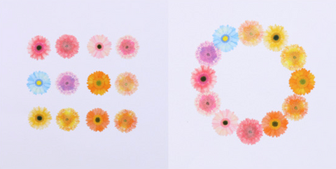 Gerbera Masking Tape | Flower Sticker