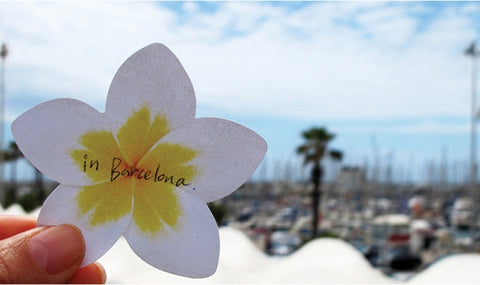 Plumeria Sticky Notes | Flower