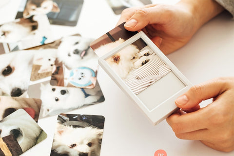 Snaplog Photocard Frames [5colors]