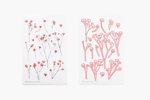 Pressed Flower Sticker [Baby's breath] | Gypsophila Printed Dried Flower Sticker