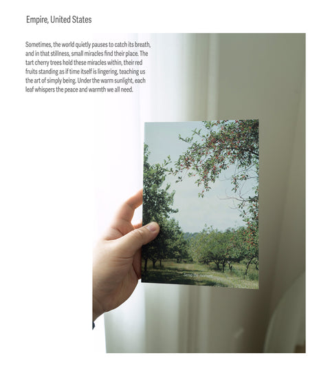 Scrap the Moment Notebook v.Spring Edition [9types] | Grid Line Blank