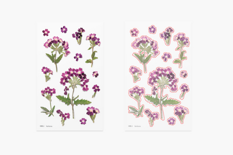 Pressed Flower Sticker [Verbena] | Printed Dried Flower Sticker