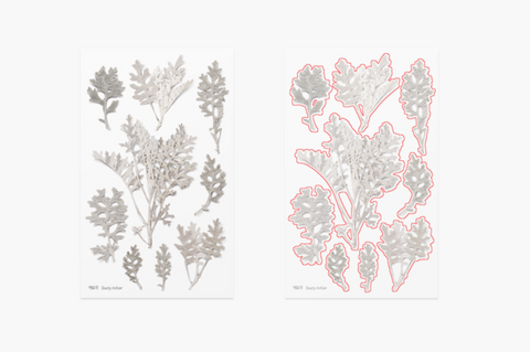 Pressed Flower Sticker [Dusty Miller] | Printed Dried Flower Sticker