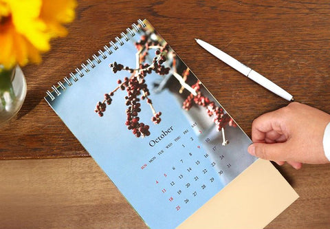 2026 Mind Snap Desk Calendar [2types]