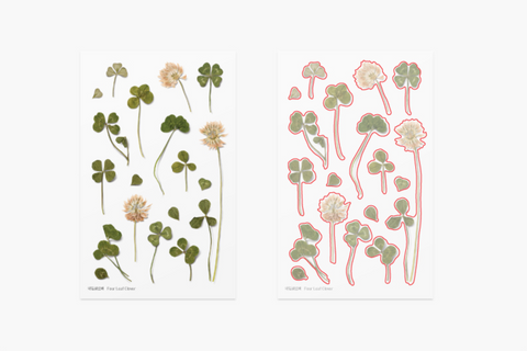 Pressed Flower Sticker [four leaf clover] | Printed Dried Flower Sticker