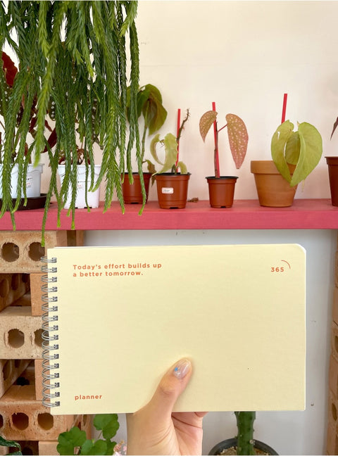 Build Up 365days Daily Planner [5colors] | Daily Time Scheduler