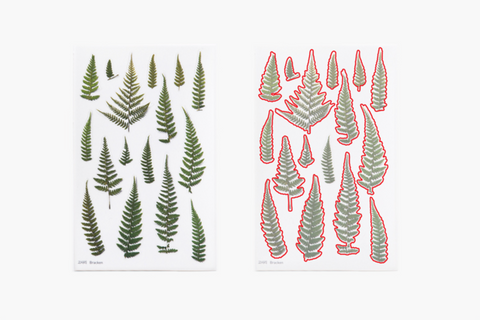 Pressed Flower Sticker [Bracken] | Printed Dried Flower Sticker