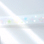 PLEPLE Kiss Cut Tape [4types] | Kiss Cut Deco Sticker