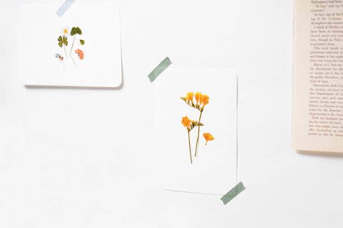 Pressed Flower Sticker [four leaf clover] | Printed Dried Flower Sticker