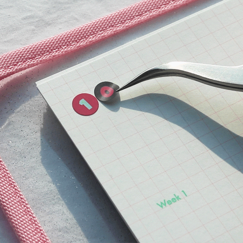 Retro Glitter Sticker Pack | 2sheets