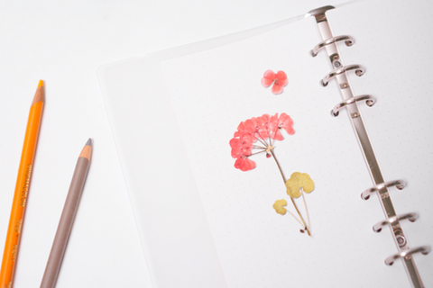 Pressed Flower Sticker [Geranium] | Printed Dried Flower Sticker