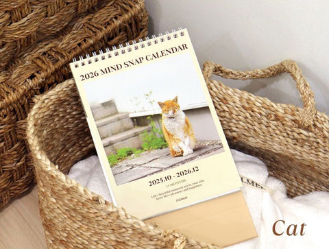 2026 Mind Snap Desk Calendar [2types]