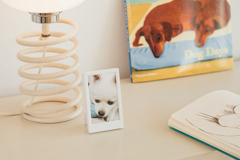 Snaplog Photocard Frames [5colors]