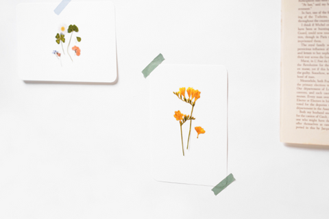 Pressed Flower Sticker [Freesia] | Printed Dried Flower Sticker