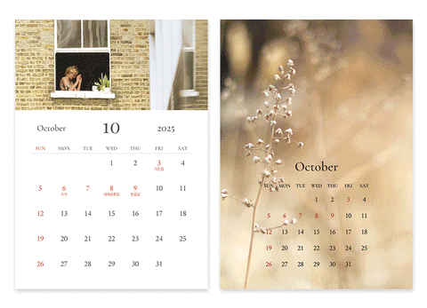 2026 Mind Snap Desk Calendar [2types]