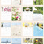 2026 Mind Snap Desk Calendar [2types]