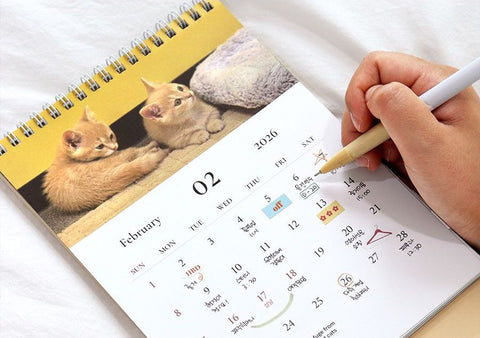 2026 Mind Snap Desk Calendar [2types]