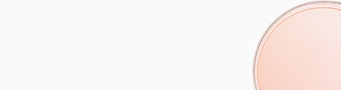 LIFE&PIECES Clear Gel Pen Set 0.38mm _ 14colors Set