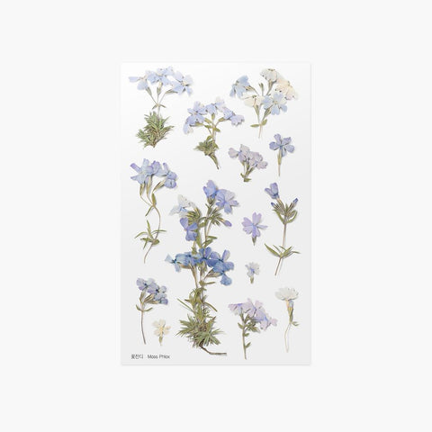 Pressed Flower Sticker [Moss Phlox] | Printed Dried Flower Sticker