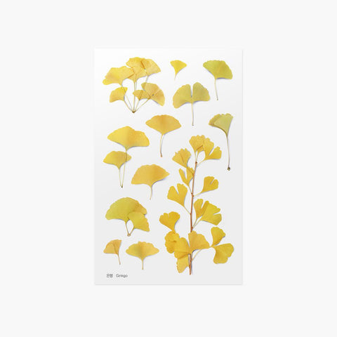 Pressed Flower Sticker [Ginkgo] | Printed Dried Flower Sticker