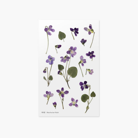 Pressed Flower Sticker [Manchurian Violet] | Printed Dried Flower Sticker
