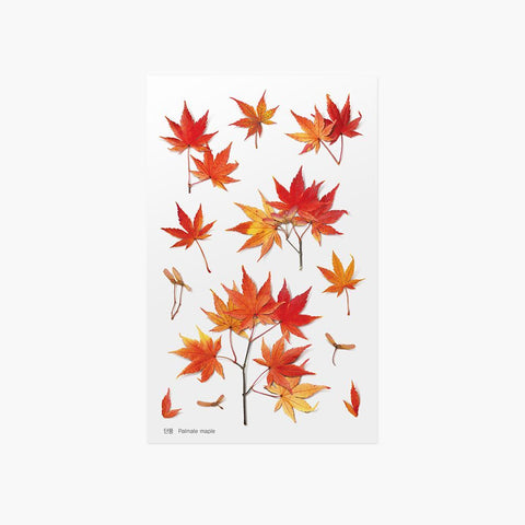 Pressed Flower Sticker [Palmate Maple] | Printed Dried Flower Sticker