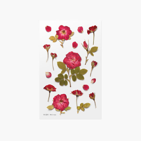 Pressed Flower Sticker [Mini Rose] | Printed Dried Flower Sticker