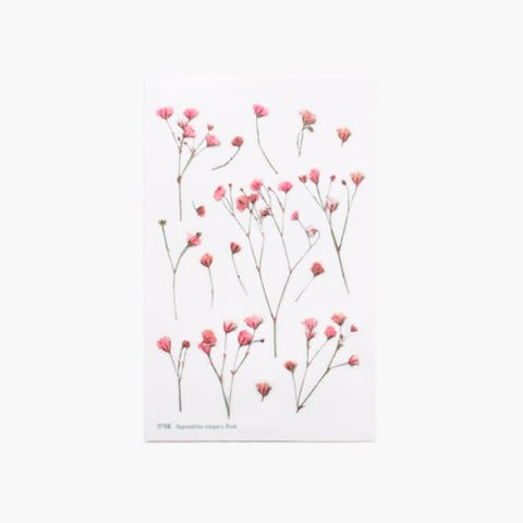 Pressed Flower Sticker [Baby's breath] | Gypsophila Printed Dried Flower Sticker
