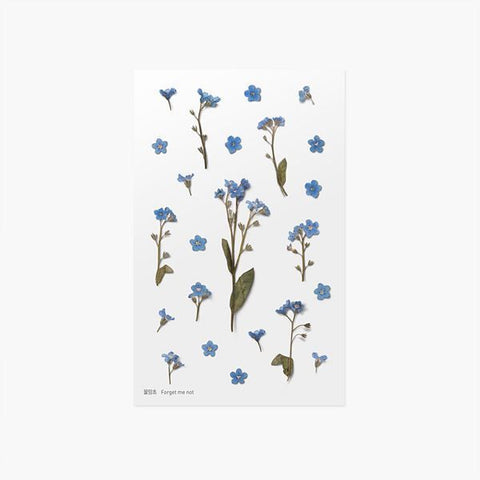 Pressed Flower Sticker [forget-me-not] | Printed Dried Flower Sticker