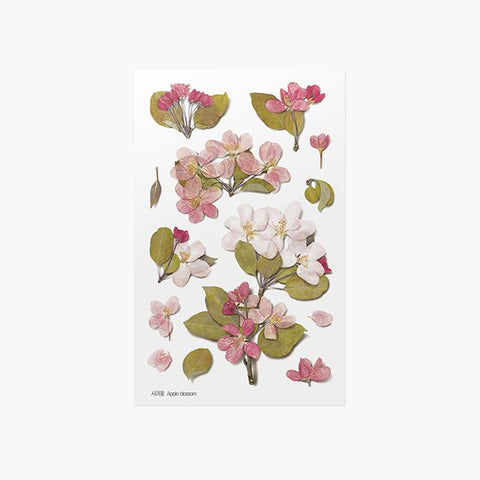 Pressed Flower Sticker [Apple Blossom] | Printed Dried Flower Sticker