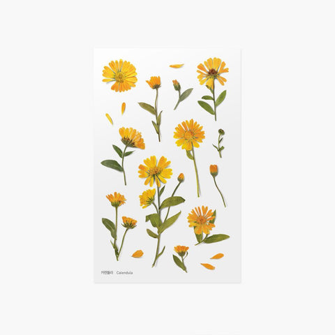 Pressed Flower Sticker [Calendula] | Printed Dried Flower Sticker