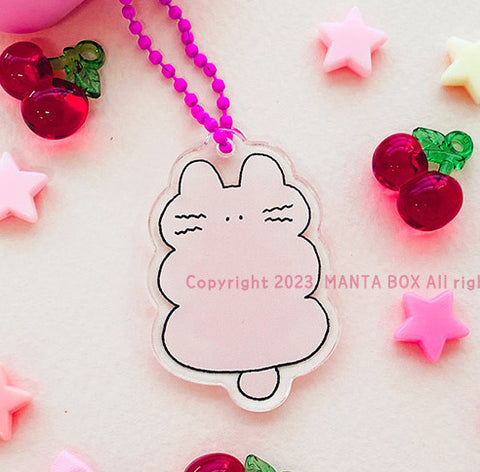 Flat Rabbit Acrylic Diary Charm | Bunny Key Rings