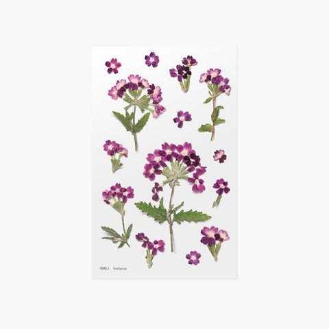 Pressed Flower Sticker [Verbena] | Printed Dried Flower Sticker