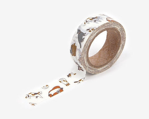 Masking Tape [65 Play with Me]