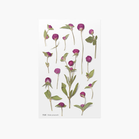 Pressed Flower Sticker [Globe Amaranth] | Printed Dried Flower Sticker