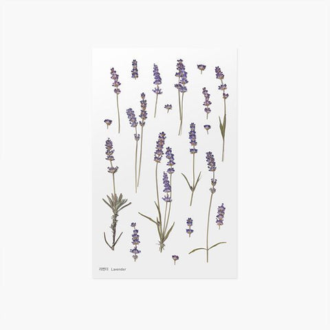 Pressed Flower Sticker [Lavender] | Printed Dried Flower Sticker