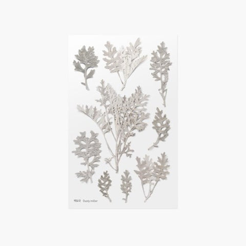 Pressed Flower Sticker [Dusty Miller] | Printed Dried Flower Sticker