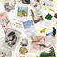 O-CHECK Sticker Pack ver.Ordinary Day | 30PCS