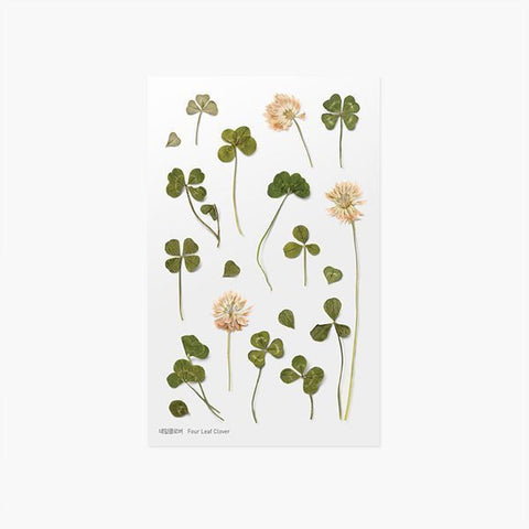 Pressed Flower Sticker [four leaf clover] | Printed Dried Flower Sticker