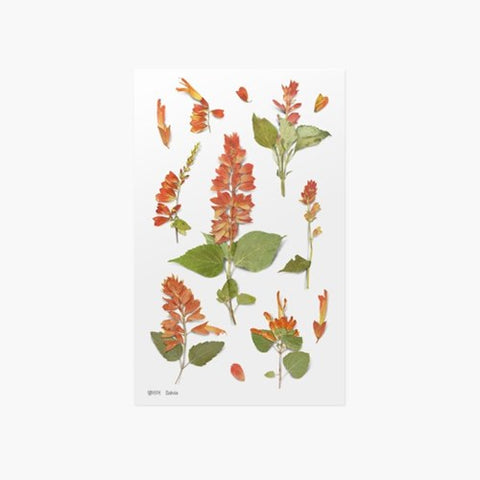 Pressed Flower Sticker [Salvia] | Printed Dried Flower Sticker