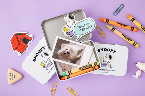 Peanuts Tin Case Stickers Pack